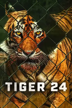 Tiger 24