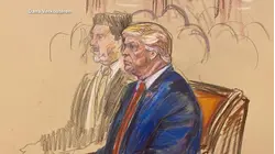 Trump attends high-stakes birthright citizenship case