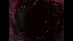 Honor