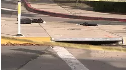 13-year-old killed in Dana Point hit-and-run crash