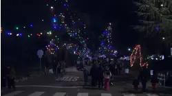 Altadena's Christmas Tree Lane brings much-needed cheer after Eaton Fire