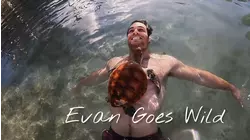 Sharks and Recreation