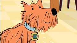 Scratch Says
