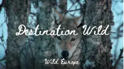 Destination Wild - Wild Europe