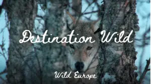 Destination Wild - Wild Europe