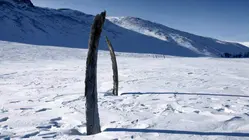 Riddle of Whale Bone Alley