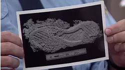 The Case of the Shoe