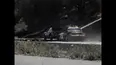 World's Wildest Police Videos