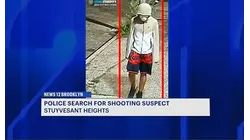 20-year-old shot in Bushwick; gunman on the run