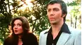 The Professionals