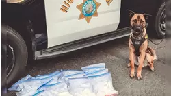 K9's first day leads to a major drug bust in Merced County