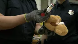 Toxic Teddy