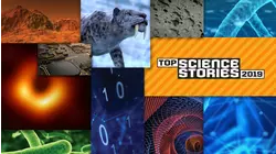 Top Science Stories of 2019