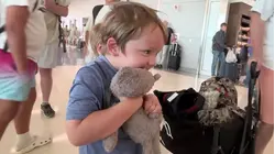 Watch: Young Boy Reunites With Lost Teddy Bear at the Airport