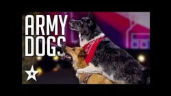 Dancing Dog Duo IMPRESS Everyone On Poland's Got Talent 2019 | Got Talent Global