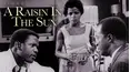 A Raisin In The Sun