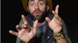 Treating a Water Bug Bite