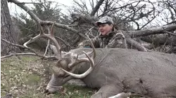 The Great Outdoors S2:E5 "Price of a Moose"