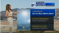 AccuWeather Forecast: Fog in parts of coast and bay overnight