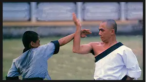 Shaolin Youth Posse