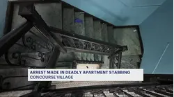 Arrest made in fatal stabbing of Concourse Village mother