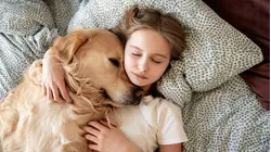 Think your dog is ruining your sleep? Science says it might be you