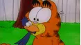 Garfield and Friends