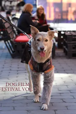 Dog Film Festival Vol. 3