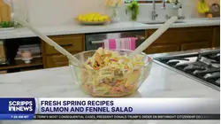 A fresh Passover dish: Salmon and fennel salad with citrus vinaigrette