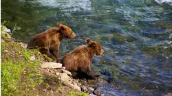 Wonders of America's National Parks