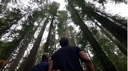 This American Wonder: David Muir on saving redwoods, returning land to native tribe