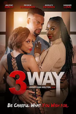 3 Way