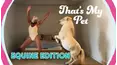 TPC That's My Pet