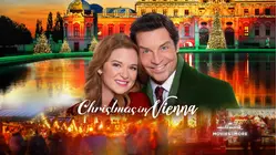 Christmas in Vienna