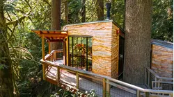 Heights of the Evergreen State