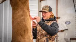 Struttinbuck S9:E5 "Father & Son Part 2"