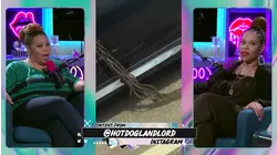 Watermelon Fried Chicken With Grape Koolaid Sauce