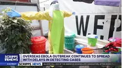 Uganda closes its border with Congo as cases of a rare Ebola type surge