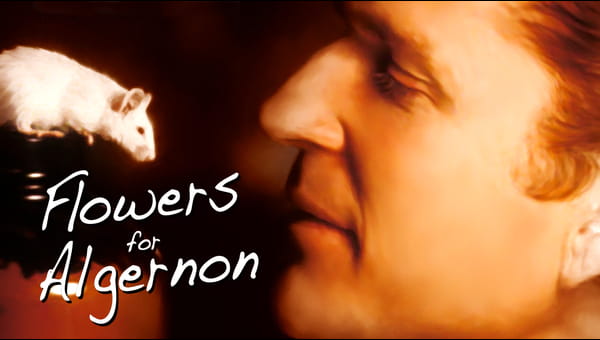 Flowers for Algernon on FREECABLE TV