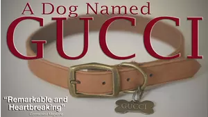 A Dog Named Gucci