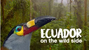 Ecuador: On The Wild Side