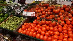 Tomato prices rising fast