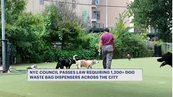 NYC Council passes package of bills to encourage dog poop cleanup