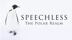 Speechless: The Polar Realm