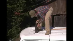 The Petting Zoo