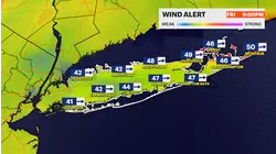 WIND ALERT: Strong gusts, scattered power outages this evening