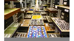 Why 99% Of Smithsonian's Specimens Are Hidden In High-Security