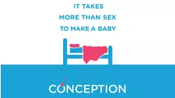 Conception