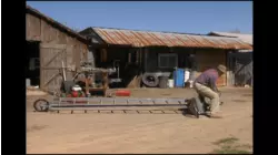 The Bachelor Auction