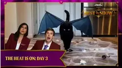 The Heat Is On: Day 3